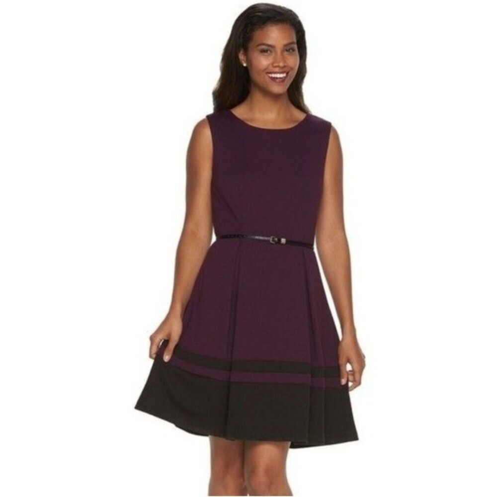 Dana Buchman Colorblock Fit & Flare Dress Size 4